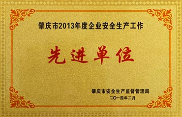 肇庆市2013年度企业安全生产工作先进单位